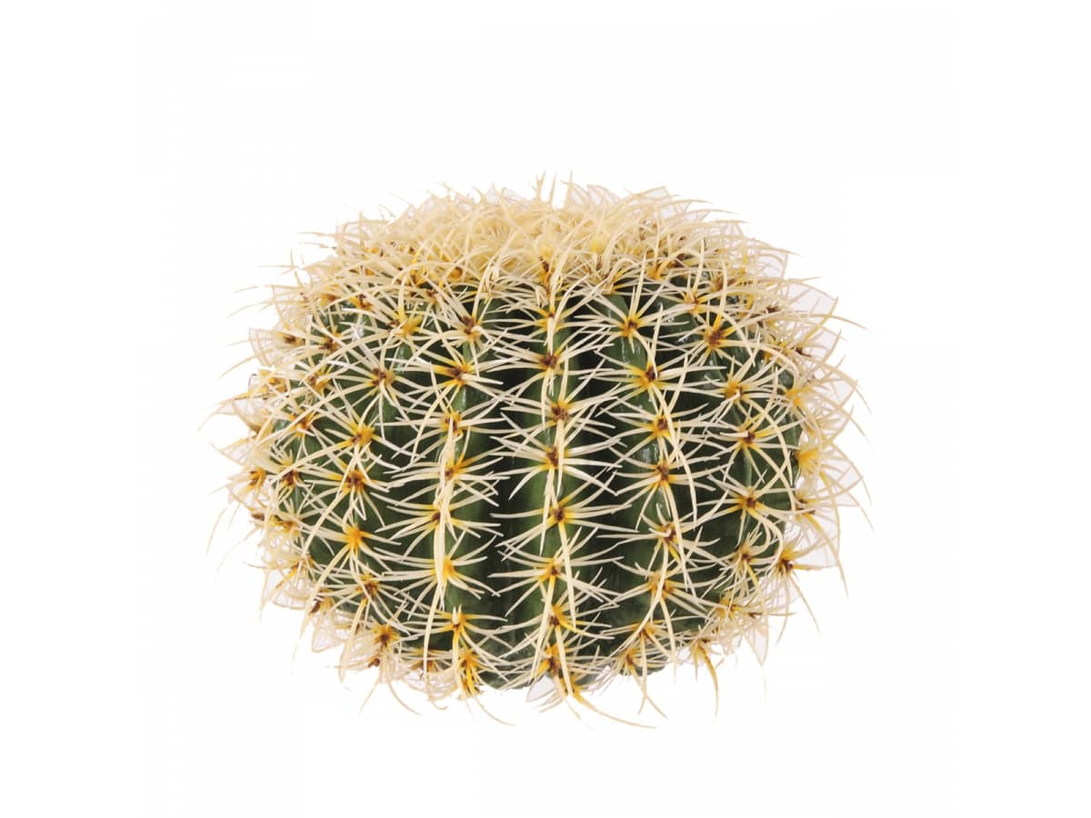 cactus-artificiale-cuscino-della-suocera-verde-giallo-45-cm