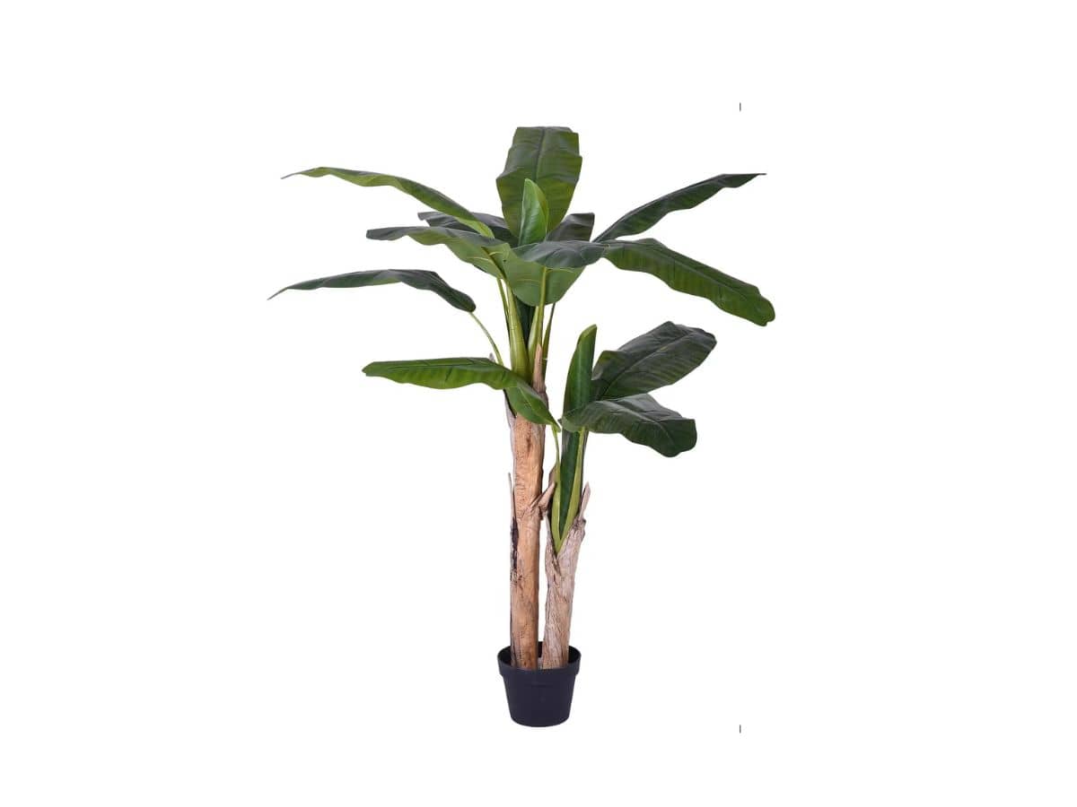 EASYCOMFORT Banano Pianta in Vaso, Albero di Banano Artificiale, Pianta  Finta per Interno ed Esterno, 150cm