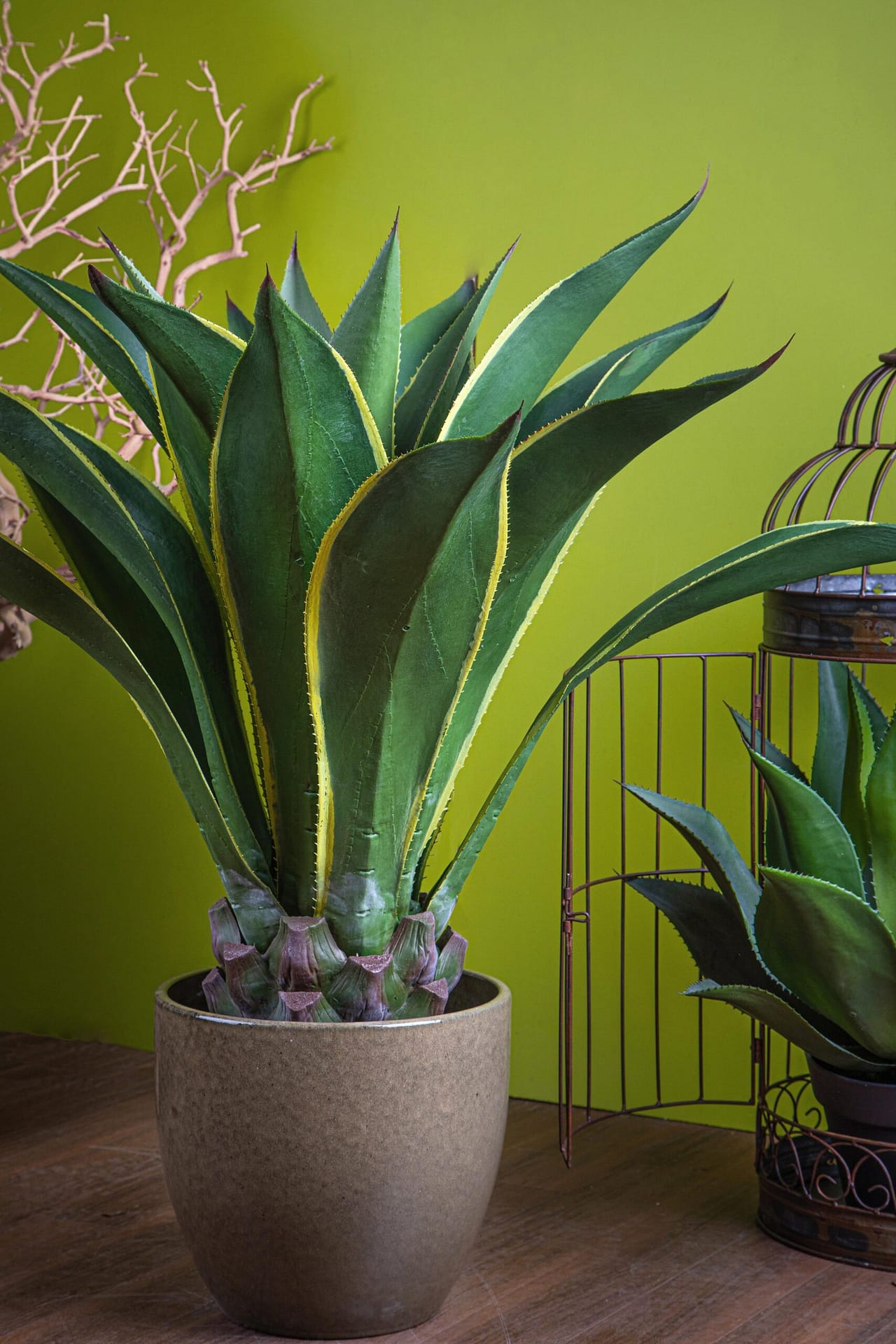 Pianta succulenta finta: piante grasse artificiali di qualità
